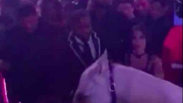 riding a horse in a miami nightclub